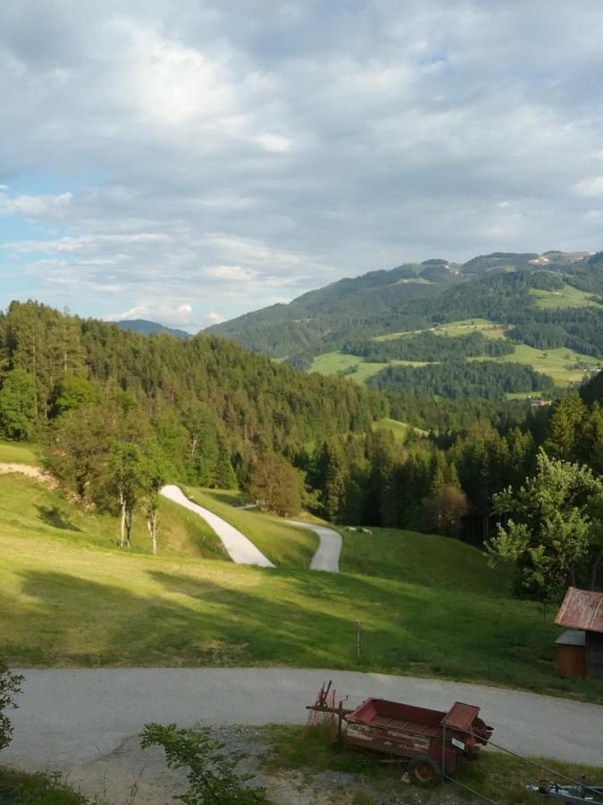 Bauernhof Vordergrub Apartman Scheffau am Wilden Kaiser Kültér fotó